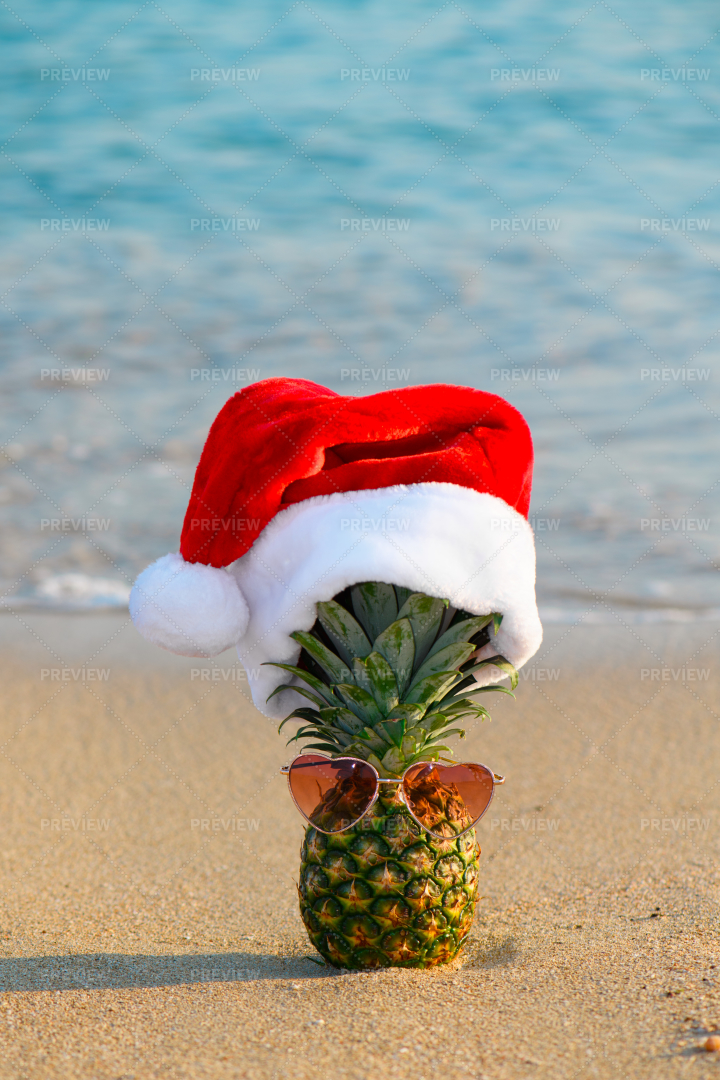 Santa Pineapple With Sunglasses - Stock Photos | Motion Array