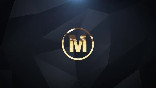 Gold - Silver Logo 4K: After Effects Templates