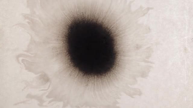 Ink Drop 08: Stock Video