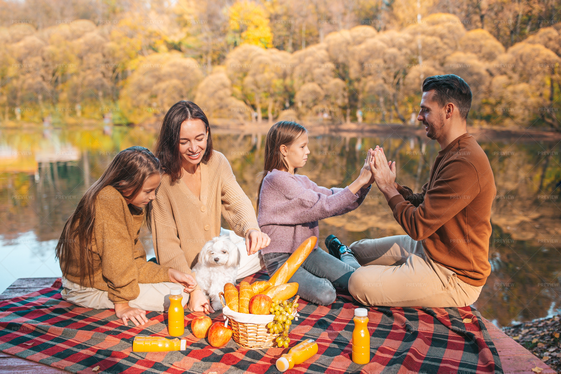 Family On A Picnic Stock Photos Motion Array   Preview 846905 CBdux6CtXmIqOW2r Large 