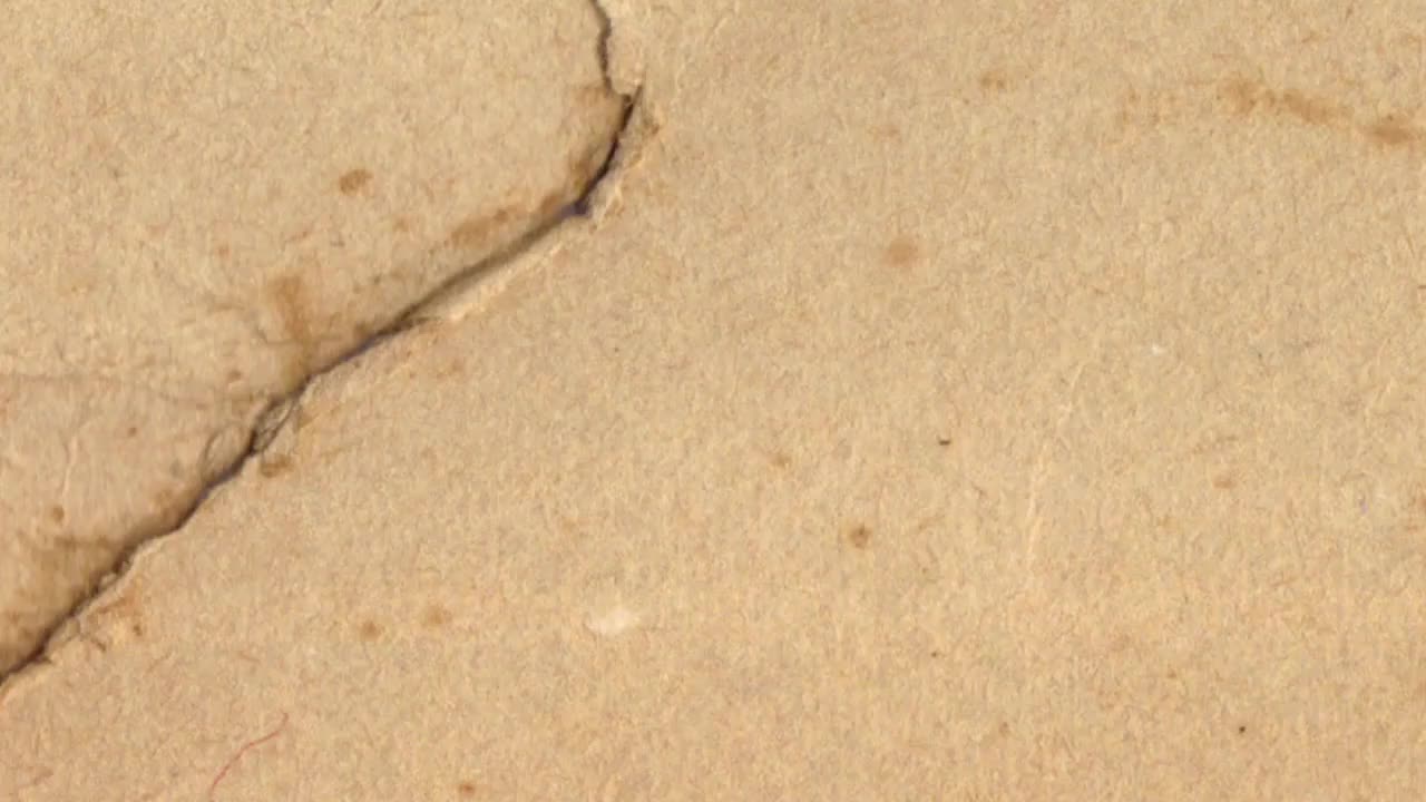 Cracked Paper Motion Stock Motion Graphics Motion Array