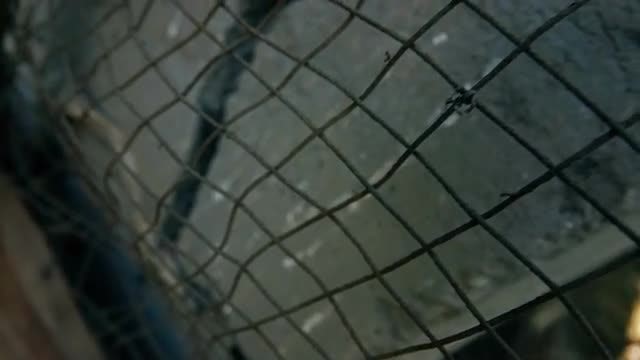 Tilting Shot Of Wire Mesh: Stock Video