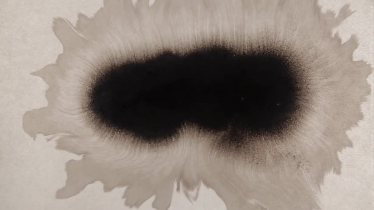 Ink Drop 09: Stock Video