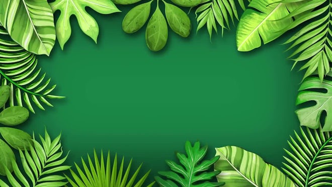 Jungle Animation - Stock Motion Graphics | Motion Array