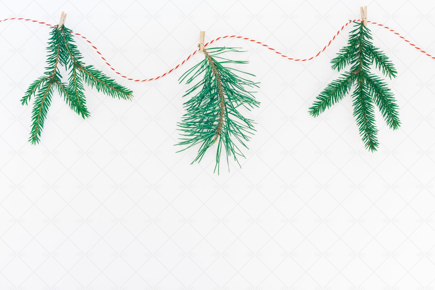 Fir Branches Hanging: Stock Photos