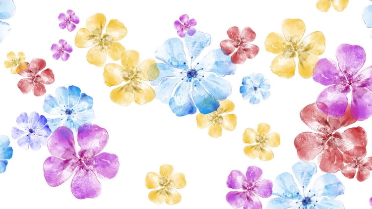 Floating Hibiscus Flowers Loop: Stock Motion Graphics