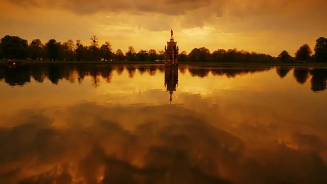 Bushy Park In London, England: Stock Video