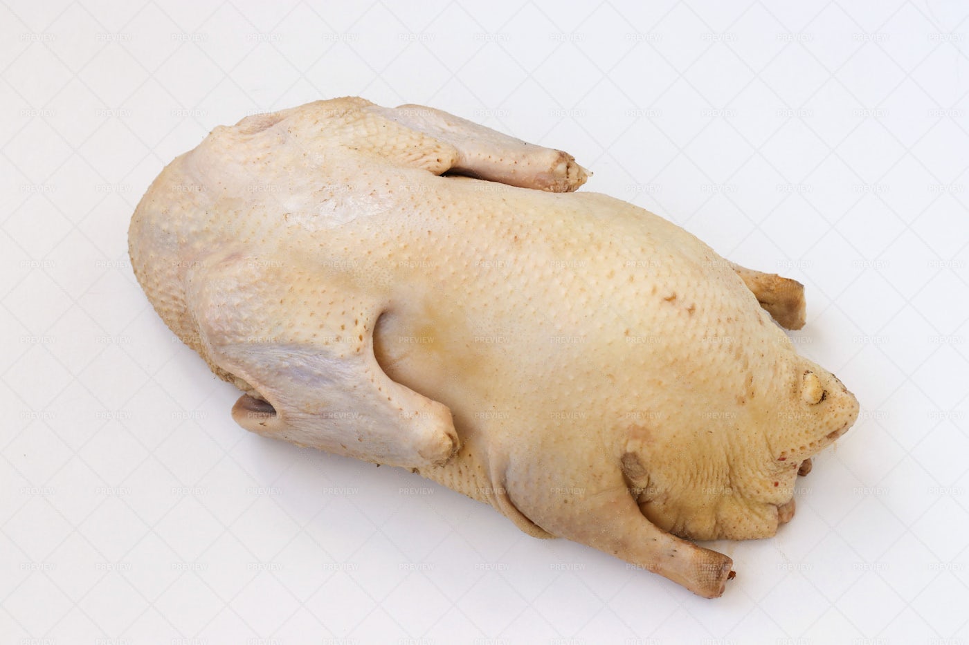 Raw Duck On White: Stock Photos