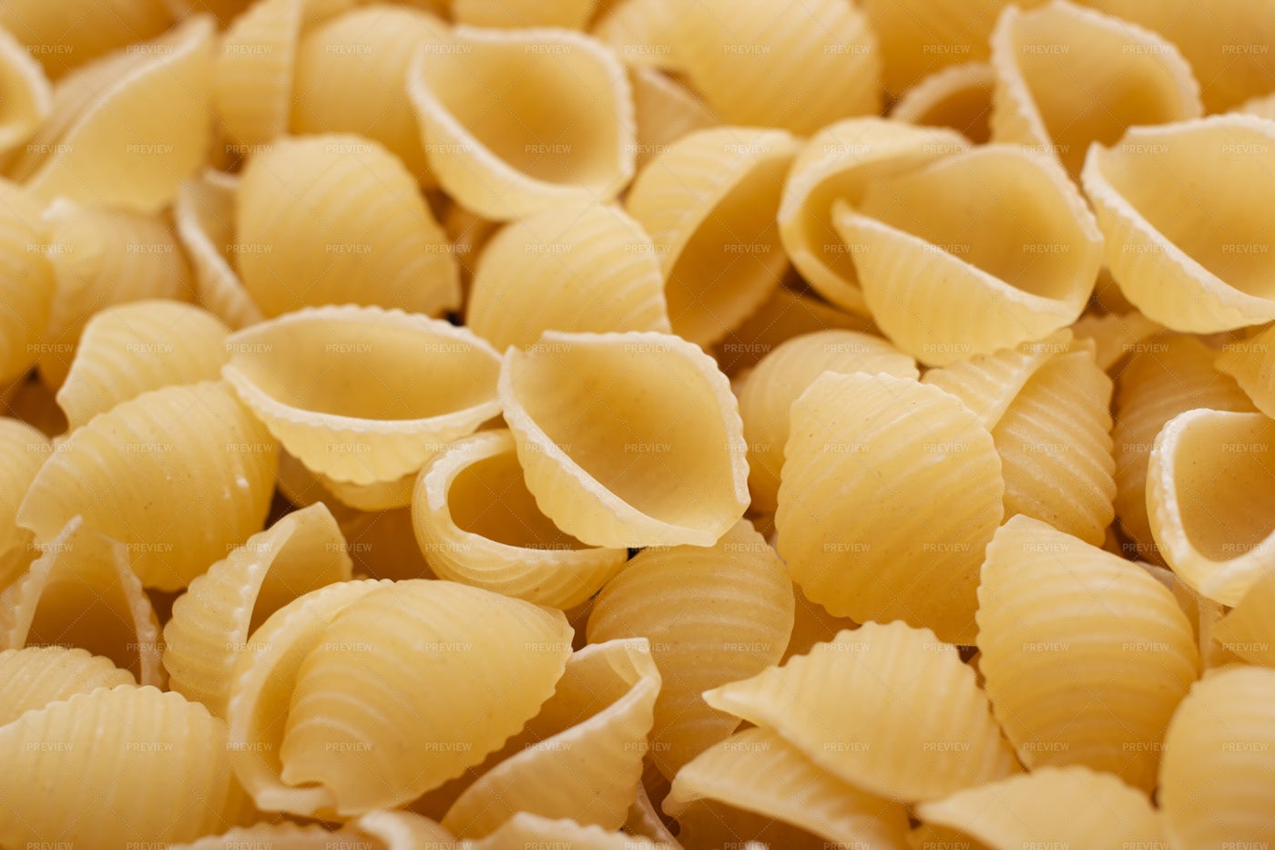 Download Conchiglie Pasta Stock Photos Motion Array