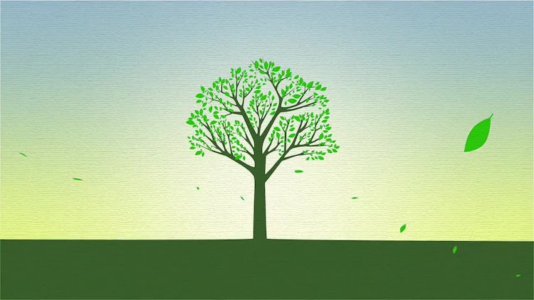 Green Spot: After Effects Templates