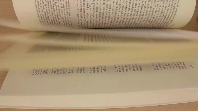 Flipping Through Book Pages: Stock Video