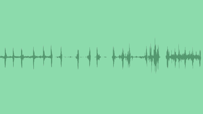 Crickets & Birds At Night: Sound Effects