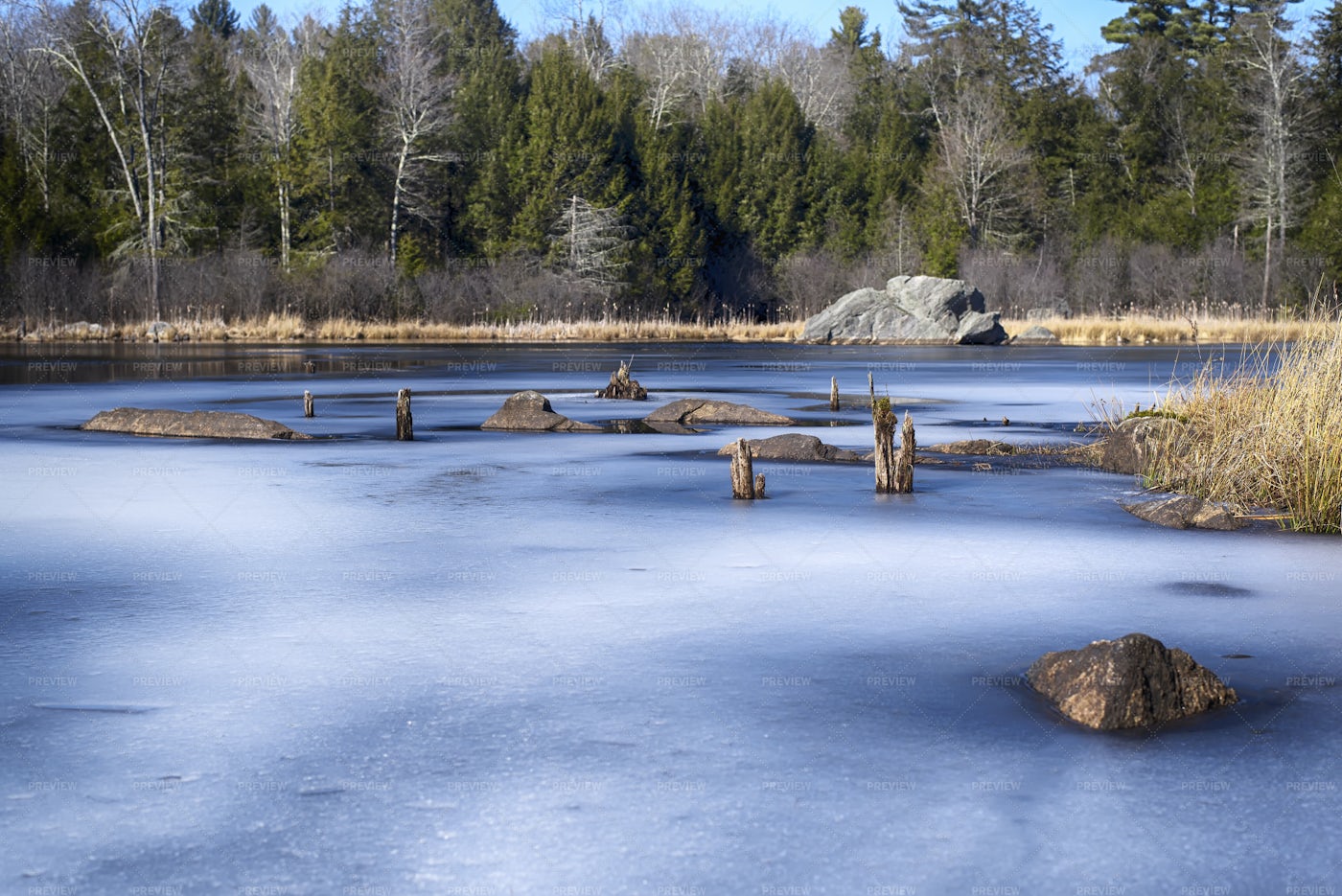 Frozen Sunnybrook State Park: Stock Photos