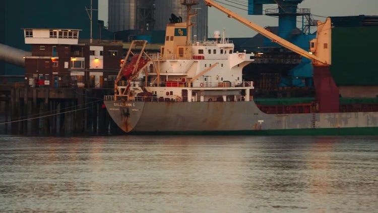 Panning Shot Of Cargo Ships: Stock Video