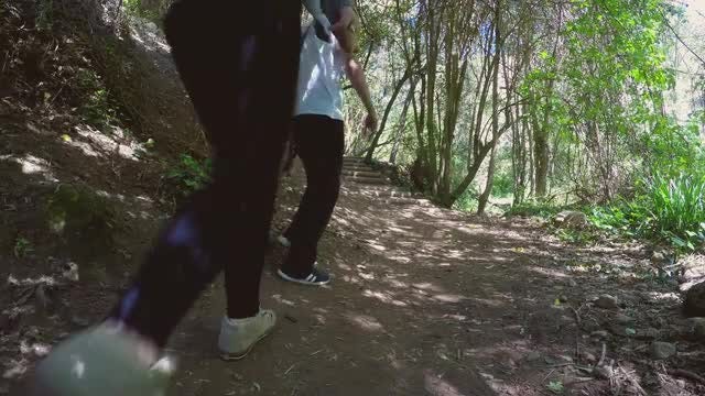 Couple Hiking With Happy Dog: Stock Video
