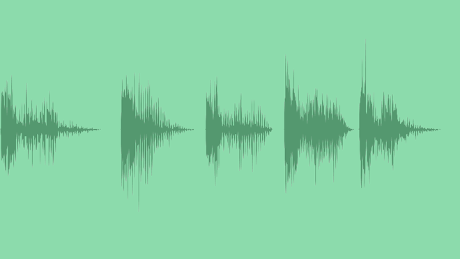 Rattle Snakes - Pack 1: Sound Effects