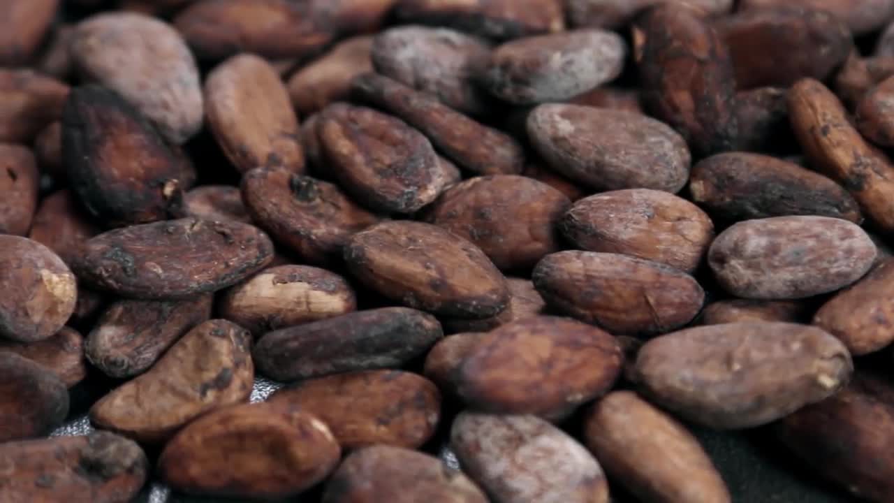 Roasted Cocoa Beans Stock Video Motion Array