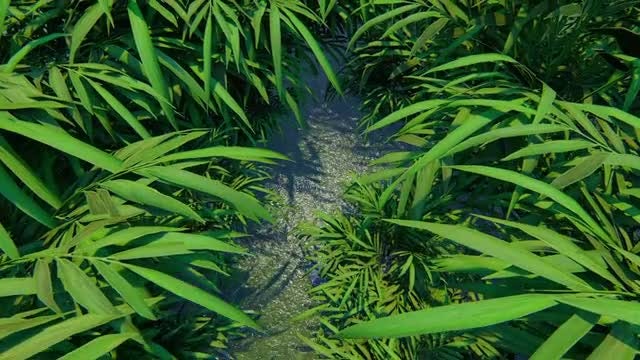 Small Forest Creek Fly Over: Stock Motion Graphics