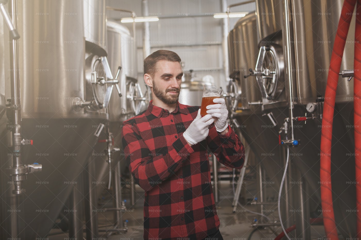 Brewer Trying Freshly Brewed Beer: Stock Photos