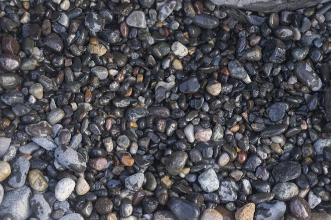 Stones At The Beach Stock Photos Motion Array