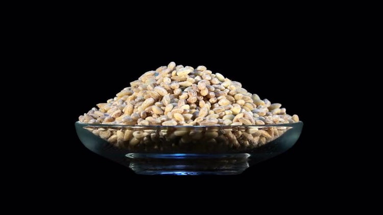 Bowl With Pearl Barley Rotating: Stock Video