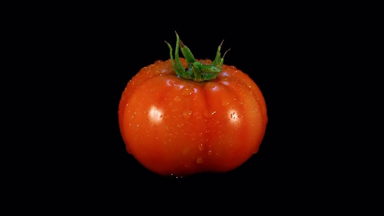Red Tomato With Dewdrops Rotating : Stock Video