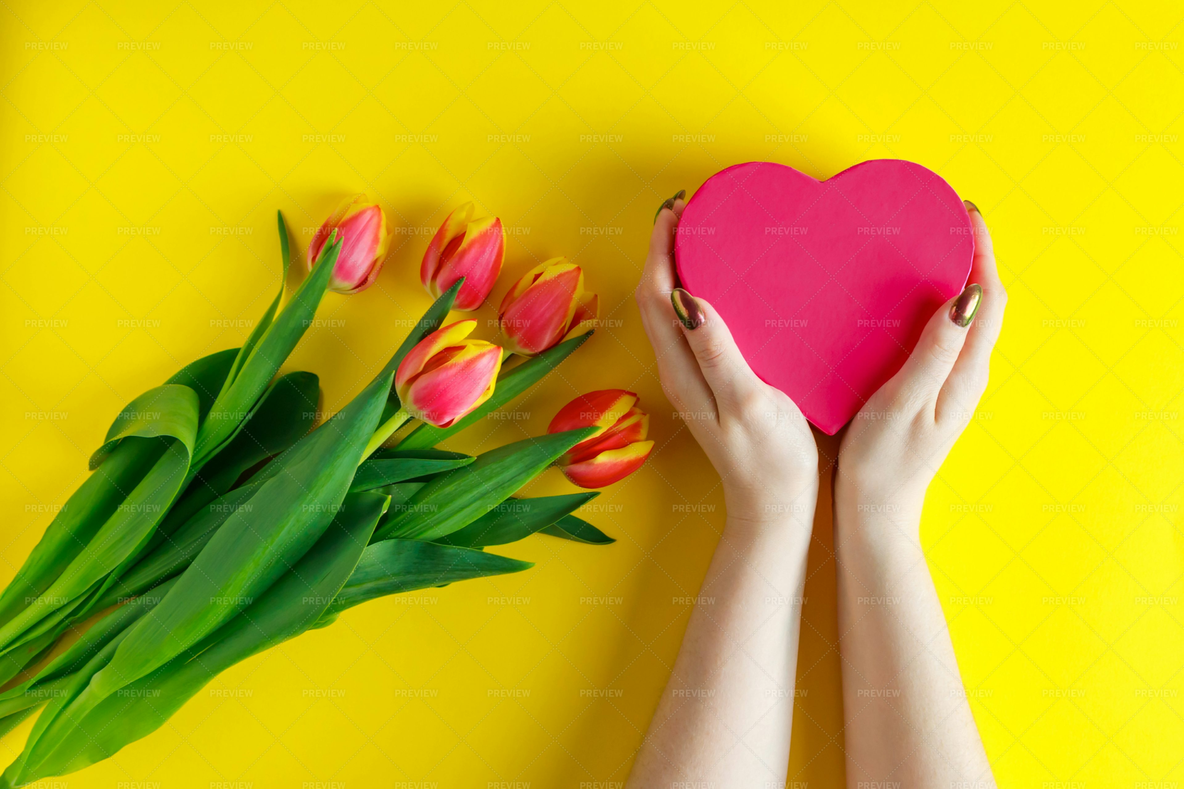 Hands Holding A Pink Heart Stock Photos Motion Array