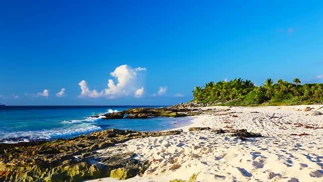 Picturesque Coast: Stock Video