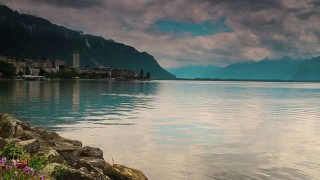 Panning Shot Of Lake Geneva: Stock Video
