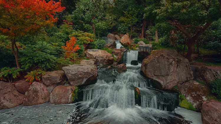 Lush Japanese Garden With Waterfall: Stock Video