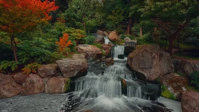 Lush Japanese Garden With Waterfall: Stock Video
