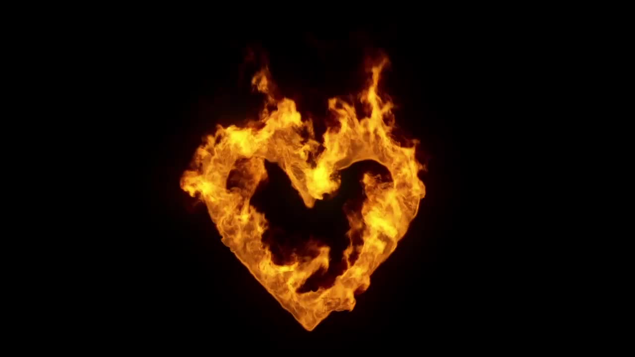 Burning Heart On Black - Stock Motion Graphics | Motion Array