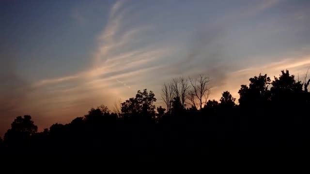 Sunset Sky Over Forest Silhouette : Stock Video