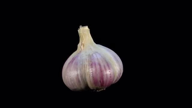 Upright Garlic Bulb Loop: Stock Video