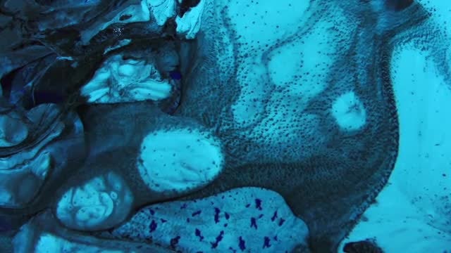 Colorful mixture Of Liquid Paints: Stock Video