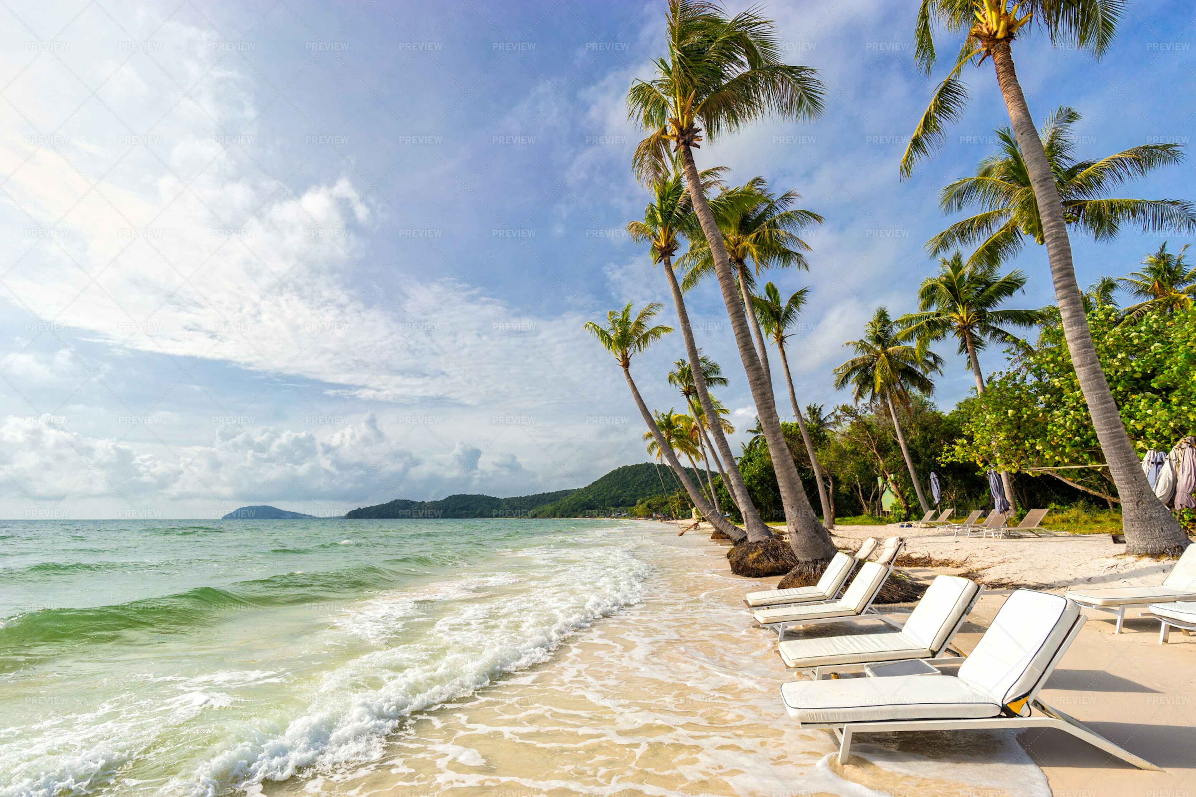 Sunbeds Under Tropical Beach Stock Photos Motion Array