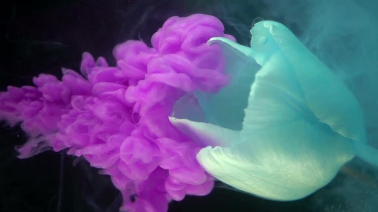 Blue Flower And Paints: Stock Video