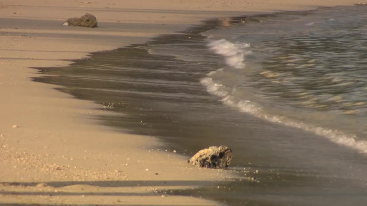 Calming Ocean Waves On Beach: Stock Video