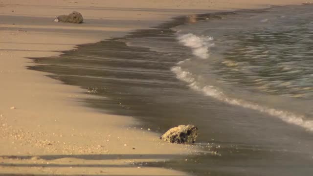 Calming Ocean Waves On Beach: Stock Video