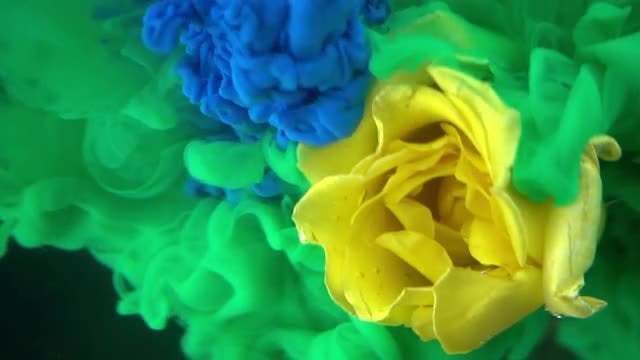Green And Blue Paints Swirling: Stock Video