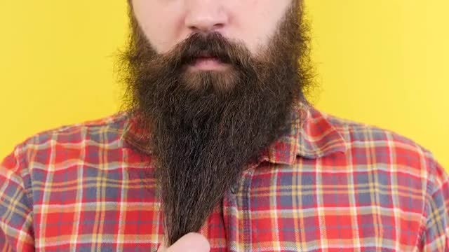 Man Playing With His Beard: Stock Video