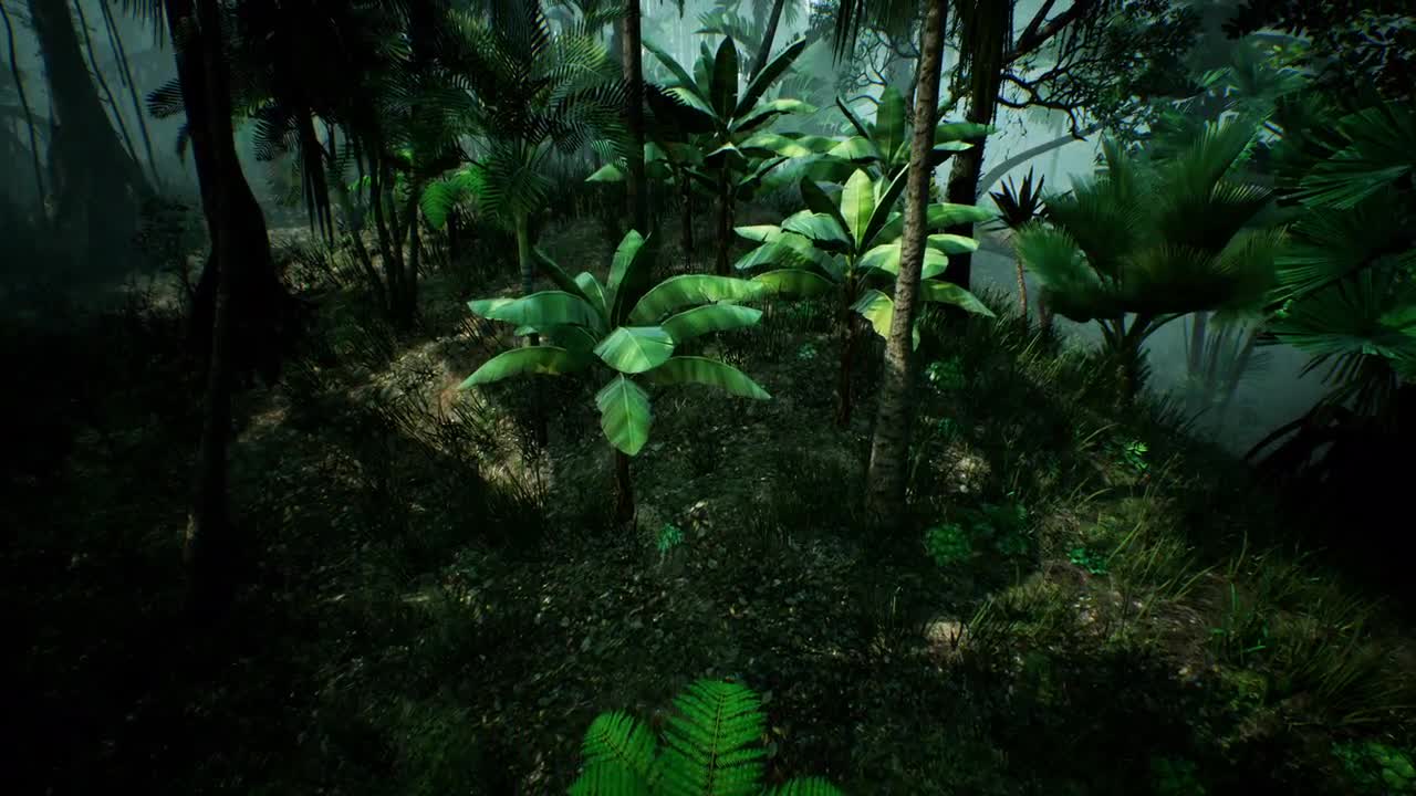 Flying Through The Green Jungle - Stock Motion Graphics | Motion Array