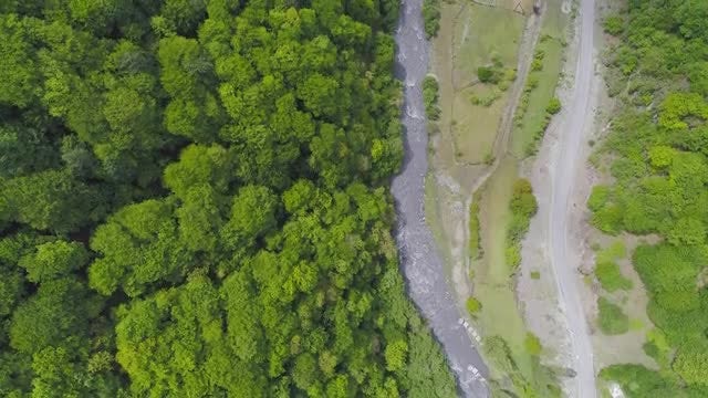 Beautiful Forest River And Road: Stock Video