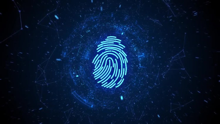 Digital Tunnel Logo After Effects Templates Motion Array