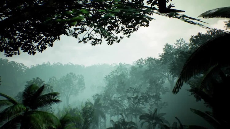 Green Jungle: Stock Motion Graphics