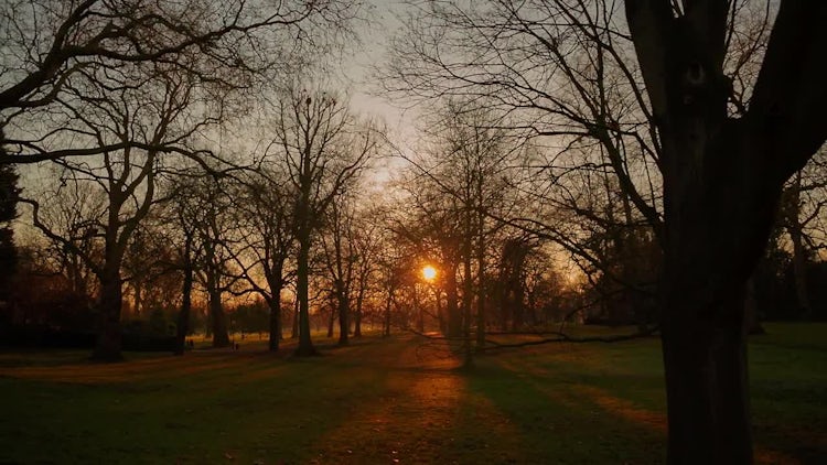 Hyde Park In London, UK: Stock Video