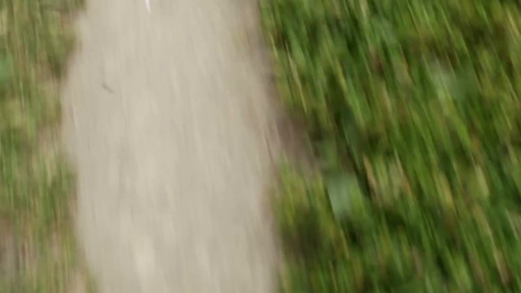 Running Path: Stock Video