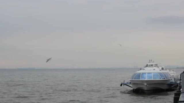 Passenger Boat Rocking On Waves At Berth: Stock Video