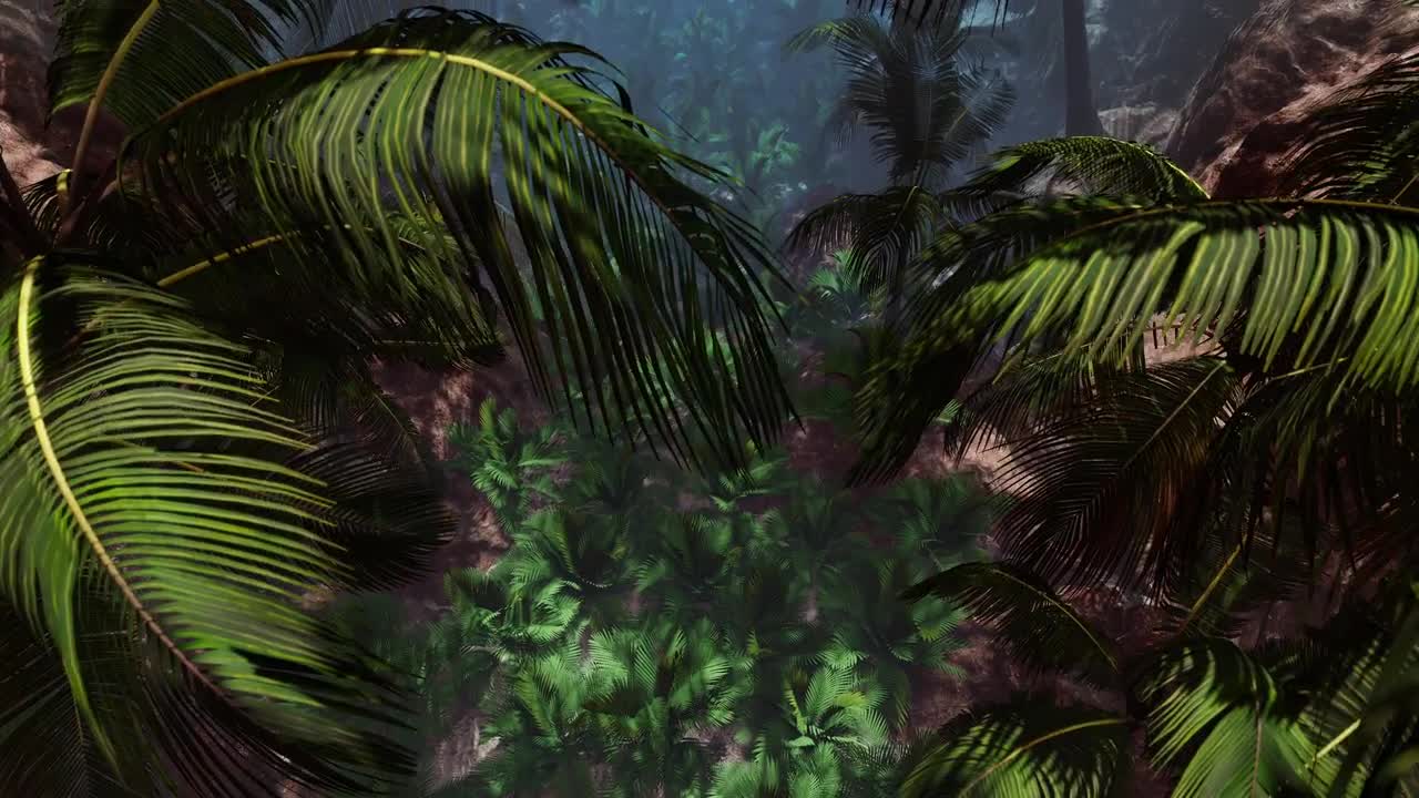 Steamy Tropical Jungle Loop Stock Motion Graphics Motion Array