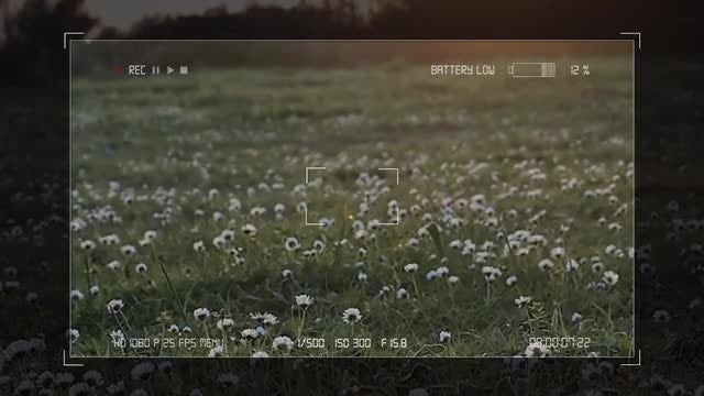 Digital Camera Recording Screen Pack: Stock Motion Graphics